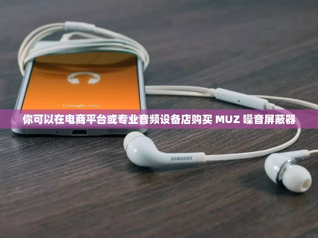 你可以在电商平台或专业音频设备店购买 MUZ 噪音屏蔽器