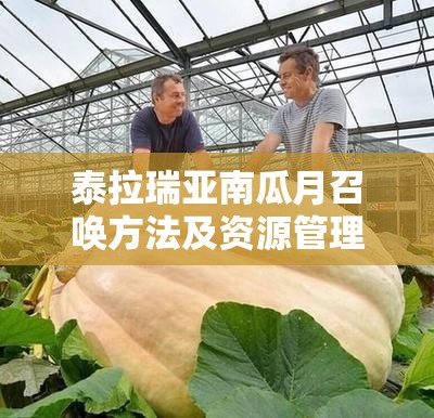 泰拉瑞亚南瓜月召唤方法及资源管理策略，材料收集、勋章合成与BOSS攻略