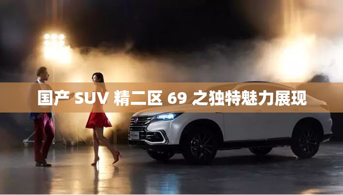 国产 SUV 精二区 69 之独特魅力展现