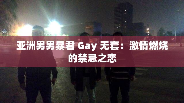 亚洲男男暴君 Gay 无套：激情燃烧的禁忌之恋