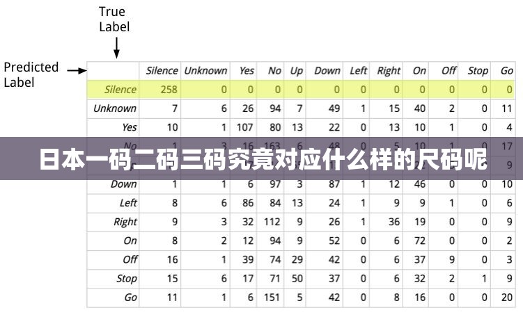 日本一码二码三码究竟对应什么样的尺码呢