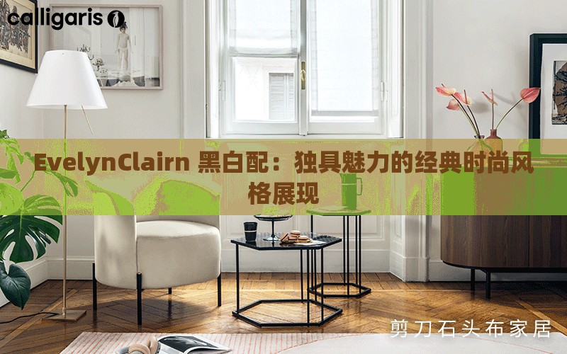 EvelynClairn 黑白配：独具魅力的经典时尚风格展现