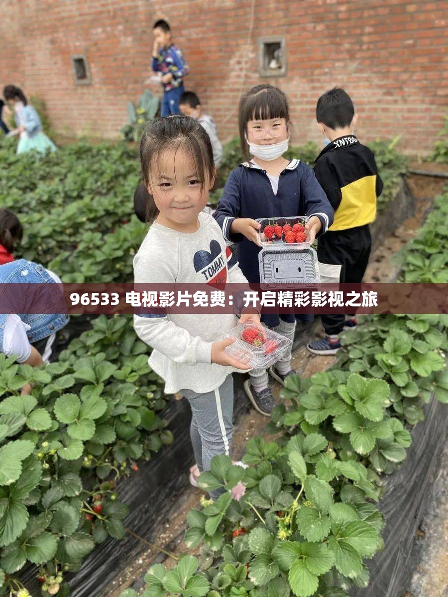 96533 电视影片免费：开启精彩影视之旅