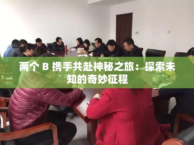 两个 B 携手共赴神秘之旅：探索未知的奇妙征程