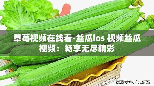 草莓视频在线看-丝瓜ios 视频丝瓜视频：畅享无尽精彩