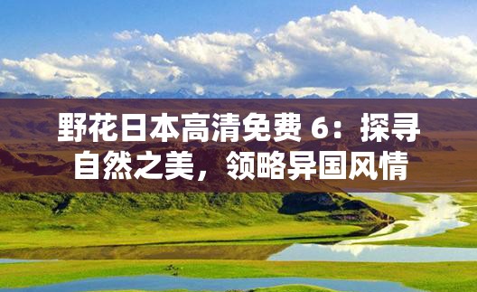 野花日本高清免费 6：探寻自然之美，领略异国风情