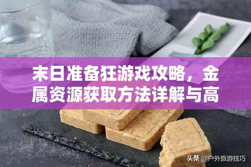 末日准备狂游戏攻略，金属资源获取方法详解与高效资源管理策略分享