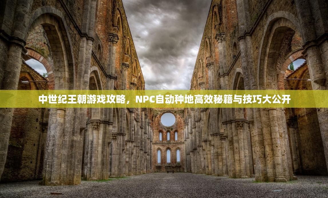 中世纪王朝游戏攻略，NPC自动种地高效秘籍与技巧大公开