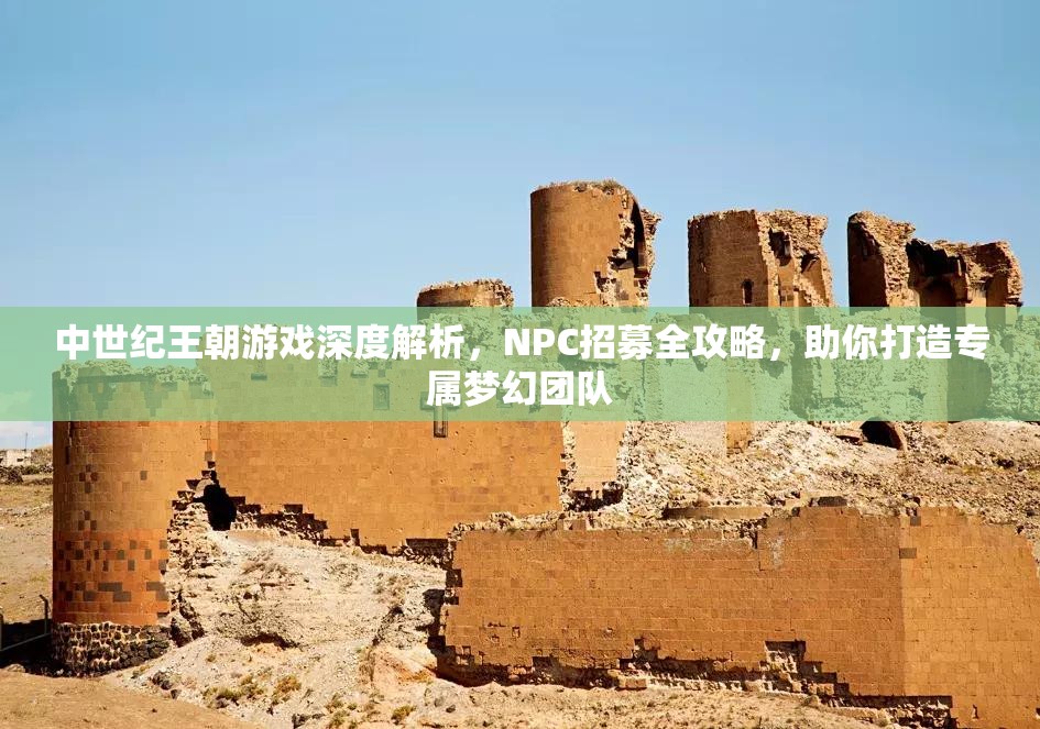 中世纪王朝游戏深度解析，NPC招募全攻略，助你打造专属梦幻团队