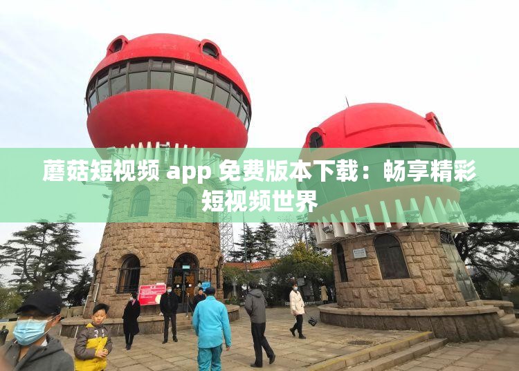 蘑菇短视频 app 免费版本下载：畅享精彩短视频世界