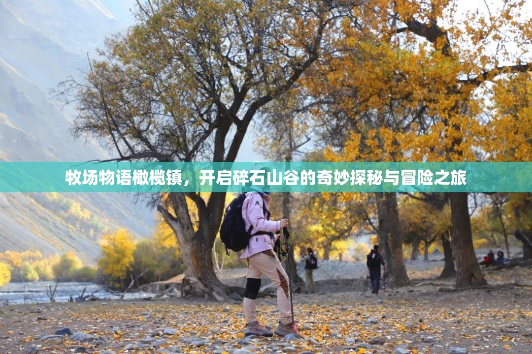 牧场物语橄榄镇，开启碎石山谷的奇妙探秘与冒险之旅