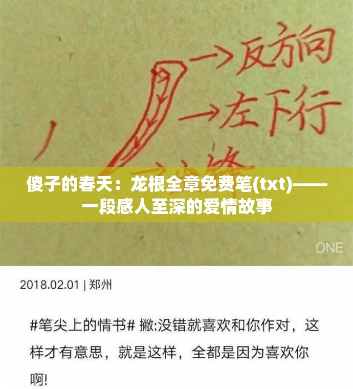 傻子的春天：龙根全章免费笔(txt)——一段感人至深的爱情故事