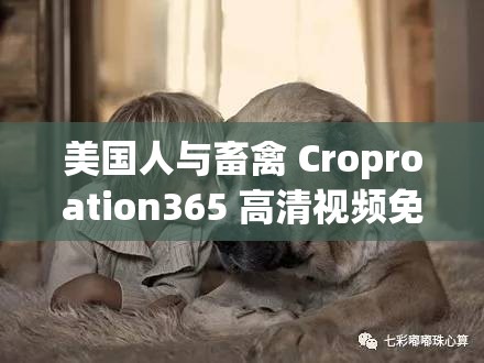 美国人与畜禽 Croproation365 高清视频免费看：探索别样视角