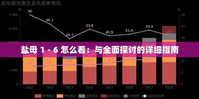 盐母 1 - 6 怎么看：与全面探讨的详细指南