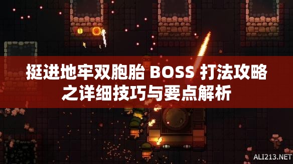 挺进地牢双胞胎 BOSS 打法攻略之详细技巧与要点解析