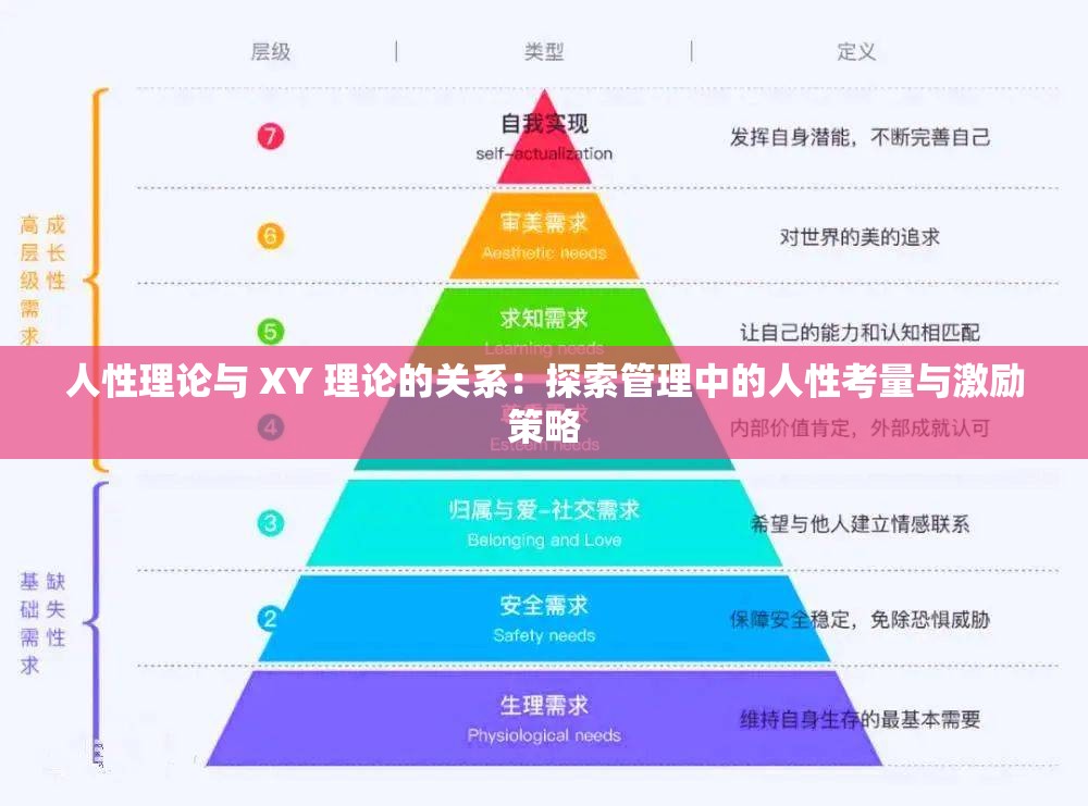 人性理论与 XY 理论的关系：探索管理中的人性考量与激励策略