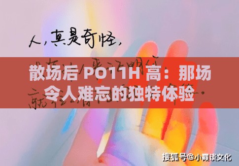 散场后 PO11H 高：那场令人难忘的独特体验