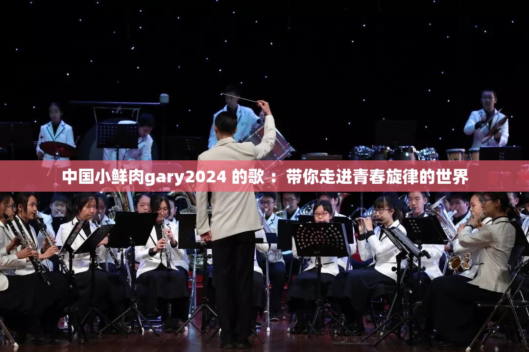 中国小鲜肉gary2024 的歌 ：带你走进青春旋律的世界