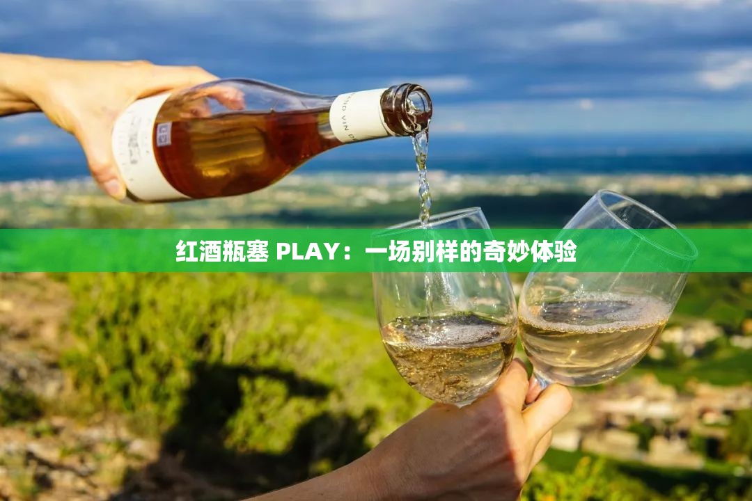 红酒瓶塞 PLAY：一场别样的奇妙体验