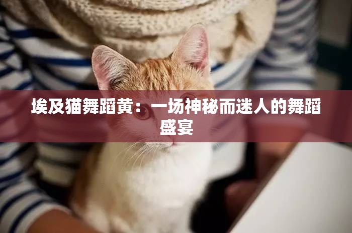 埃及猫舞蹈黄：一场神秘而迷人的舞蹈盛宴