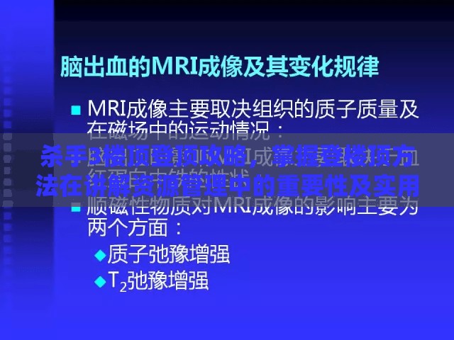 杀手3楼顶登顶攻略，掌握登楼顶方法在讲解资源管理中的重要性及实用技巧