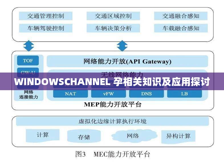 WINDOWSCHANNEL 孕相关知识及应用探讨