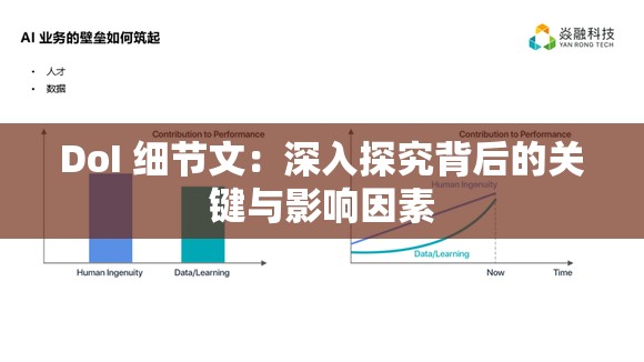 DoI 细节文：深入探究背后的关键与影响因素