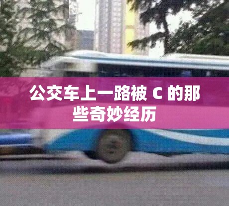 公交车上一路被 C 的那些奇妙经历