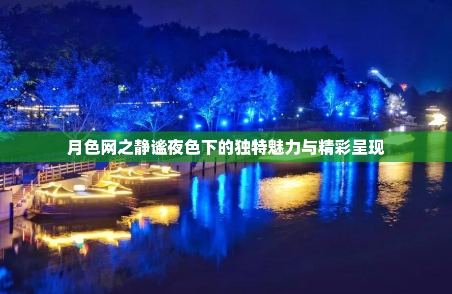 月色网之静谧夜色下的独特魅力与精彩呈现