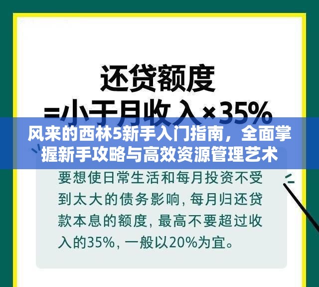 风来的西林5新手入门指南，全面掌握新手攻略与高效资源管理艺术