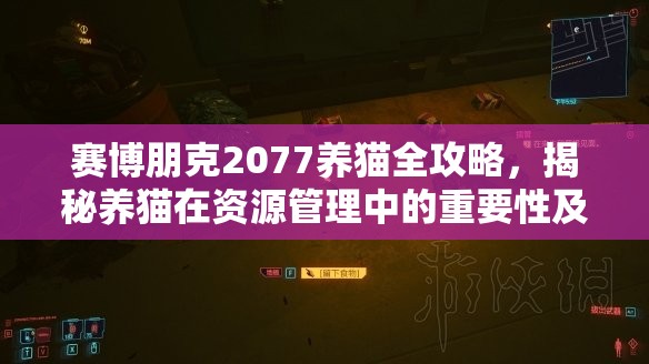 赛博朋克2077养猫全攻略，揭秘养猫在资源管理中的重要性及实用技巧