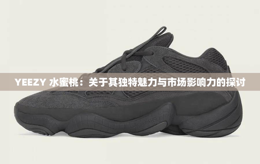 YEEZY 水蜜桃：关于其独特魅力与市场影响力的探讨