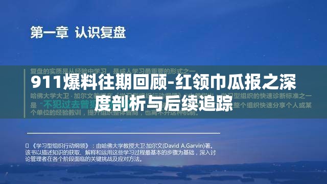 911爆料往期回顾-红领巾瓜报之深度剖析与后续追踪