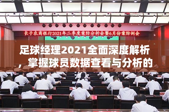 足球经理2021全面深度解析，掌握球员数据查看与分析的关键技巧