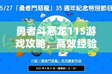 勇者斗恶龙11S游戏攻略，高效经验速刷秘籍与技巧全面大公开