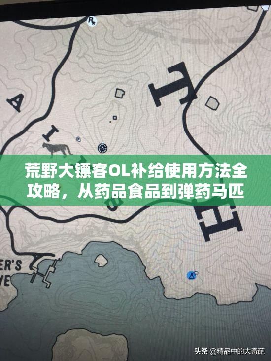 荒野大镖客OL补给使用方法全攻略，从药品食品到弹药马匹的深度解析