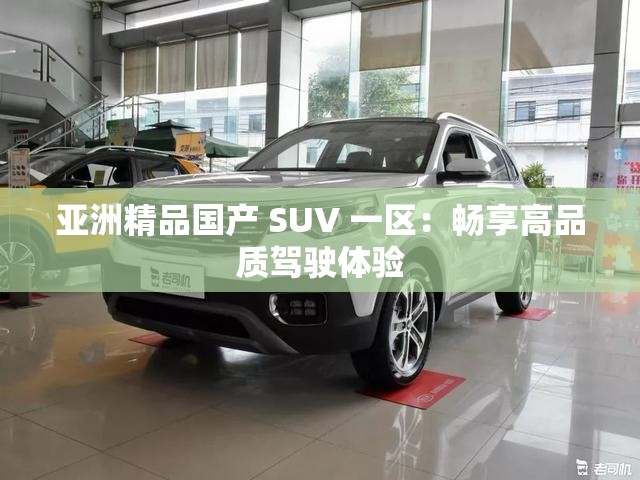 亚洲精品国产 SUV 一区：畅享高品质驾驶体验