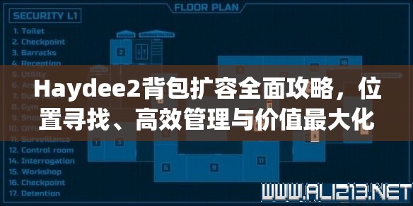 Haydee2背包扩容全面攻略，位置寻找、高效管理与价值最大化技巧