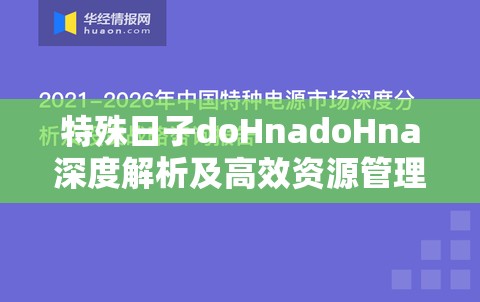 特殊日子doHnadoHna深度解析及高效资源管理策略探讨