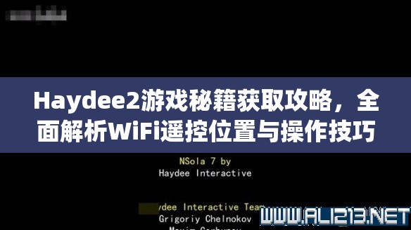 Haydee2游戏秘籍获取攻略，全面解析WiFi遥控位置与操作技巧