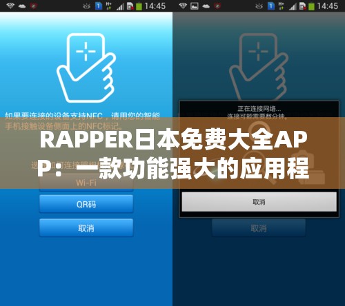 RAPPER日本免费大全APP：一款功能强大的应用程序