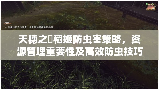 天穗之咲稻姬防虫害策略，资源管理重要性及高效防虫技巧分享