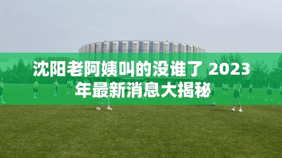 沈阳老阿姨叫的没谁了 2023 年最新消息大揭秘