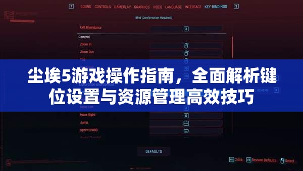 尘埃5游戏操作指南，全面解析键位设置与资源管理高效技巧
