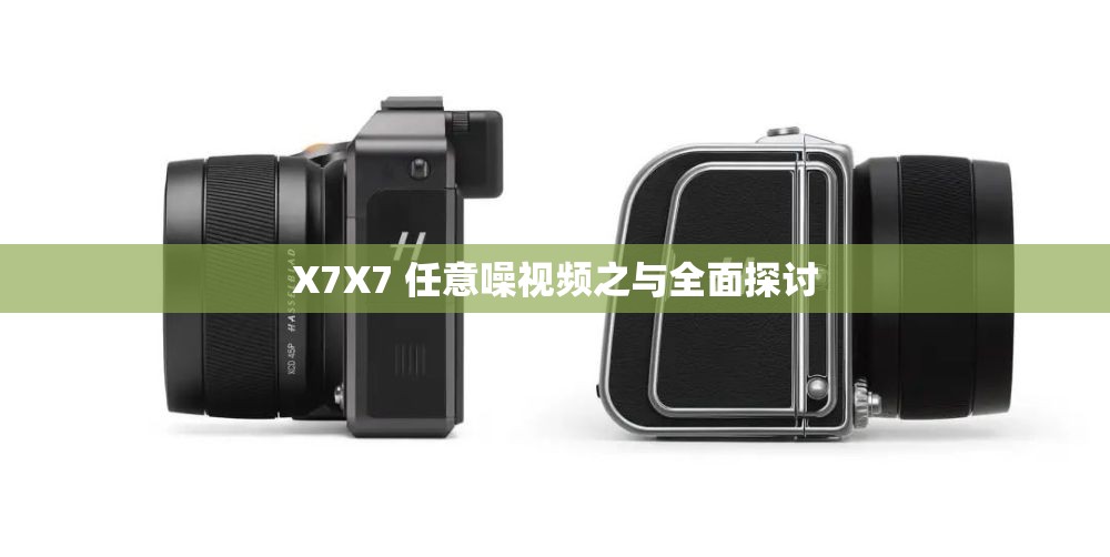 X7X7 任意噪视频之与全面探讨