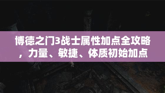 博德之门3战士属性加点全攻略，力量、敏捷、体质初始加点方法推荐