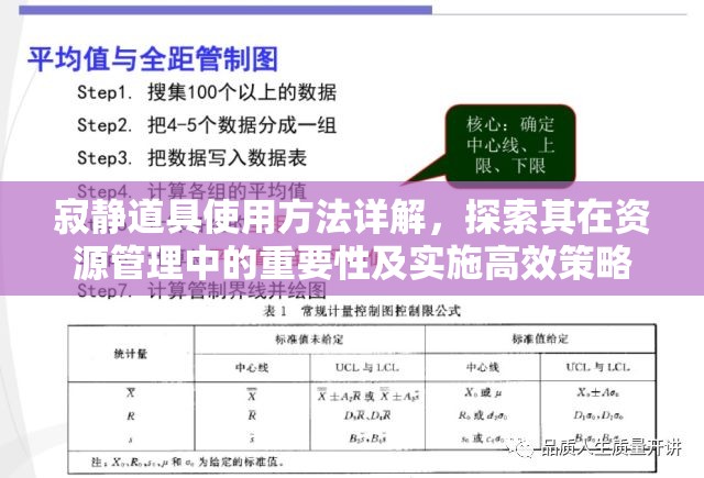 寂静道具使用方法详解，探索其在资源管理中的重要性及实施高效策略