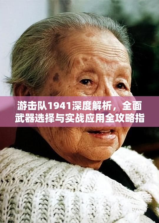 游击队1941深度解析，全面武器选择与实战应用全攻略指南