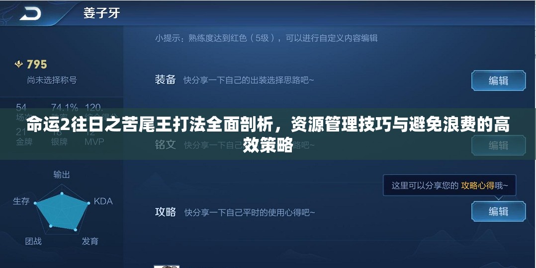 命运2往日之苦尾王打法全面剖析，资源管理技巧与避免浪费的高效策略