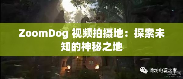 ZoomDog 视频拍摄地：探索未知的神秘之地